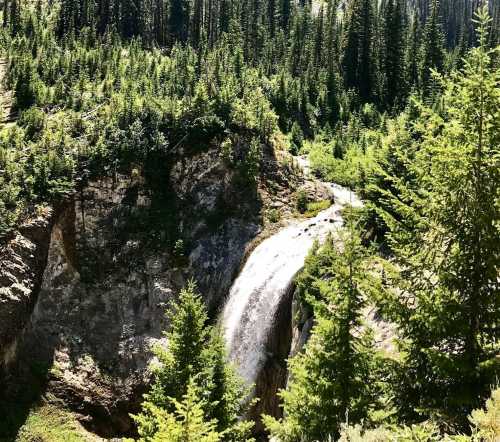 A scenic waterfall cascading down rocky cliffs, surrounded by lush green trees and a forested landscape.