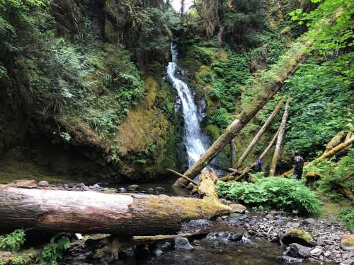 A serene forest scene featuring a waterfall surrounded by lush greenery and fallen logs, with two people near the water.