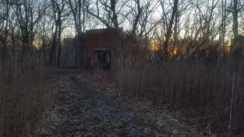A narrow path leads to a weathered brick building, surrounded by tall grasses and trees at sunset.