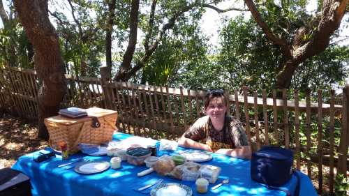 A person sits at a picnic table with food, surrounded by trees and a wooden fence in a sunny outdoor setting.