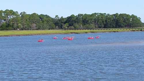 A group of people kayaking in red kayaks on a calm river, surrounded by green trees and clear blue skies.