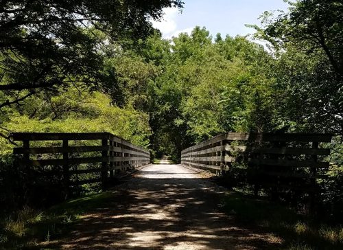 A serene pathway leads over a wooden bridge, surrounded by lush greenery and dappled sunlight.
