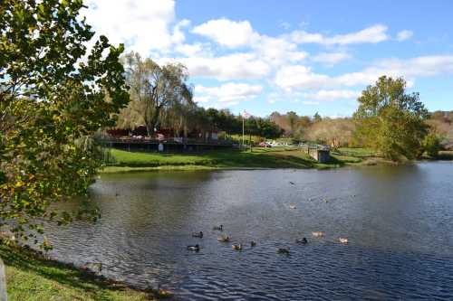 A serene pond surrounded by trees, with ducks swimming and a clear blue sky dotted with clouds in the background.