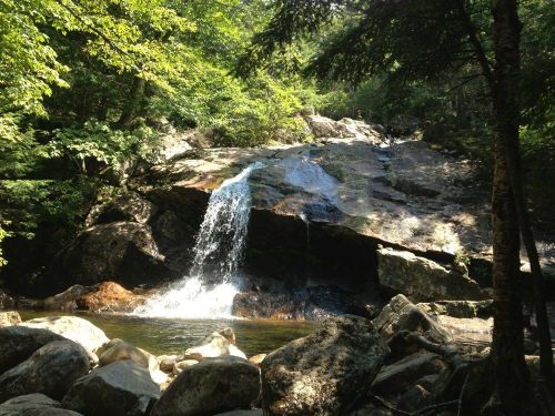 A serene waterfall cascades over rocks into a calm pool, surrounded by lush green trees and natural scenery.