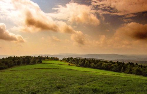 A serene landscape featuring rolling green hills under a cloudy sky at sunset.