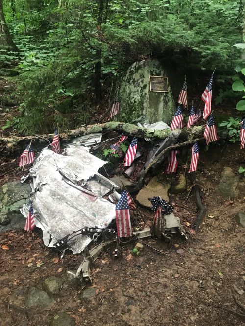 Memorial site with a plaque and small American flags, surrounded by greenery and remnants of a plane crash.