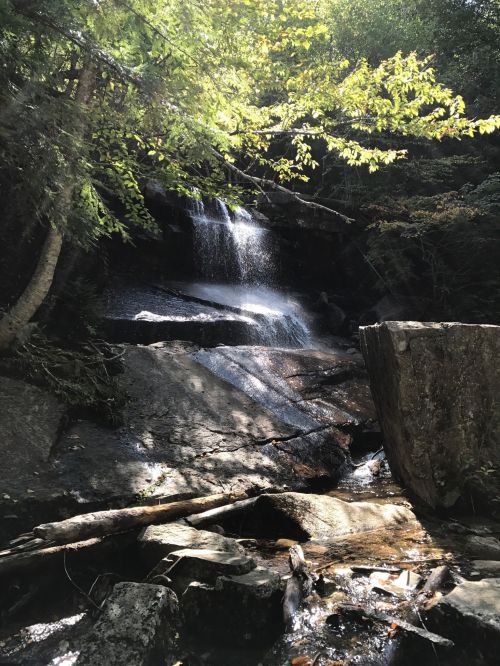 A serene waterfall cascades over rocks, surrounded by lush greenery and dappled sunlight.