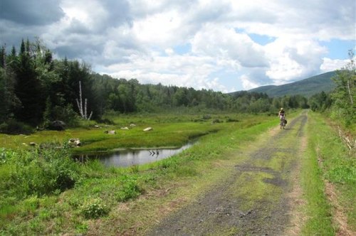 A cyclist rides along a grassy path beside a serene pond, surrounded by lush greenery and distant mountains under a cloudy sky.