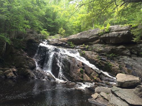 A serene waterfall cascades over rocks into a dark pool, surrounded by lush green trees and foliage.