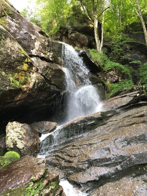 A serene waterfall cascading over rocky terrain, surrounded by lush green trees and foliage.