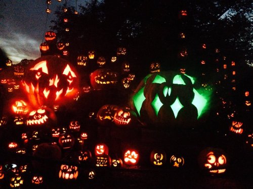 A vibrant display of carved pumpkins, glowing in various colors, set against a twilight sky.