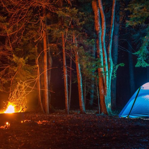 A glowing campfire beside a tent in a dark forest, surrounded by tall trees and a serene nighttime atmosphere.
