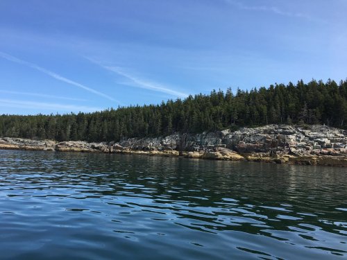 A calm body of water reflects a rocky shoreline lined with dense evergreen trees under a clear blue sky.