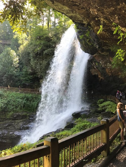 A waterfall cascades over rocks, surrounded by lush greenery and a wooden railing, with a person admiring the view nearby.