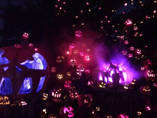A spooky Halloween scene with glowing jack-o'-lanterns and purple mist, creating an eerie atmosphere.