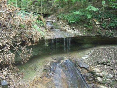 A serene waterfall cascading over rocky terrain, surrounded by lush greenery and a wooden bridge in the background.