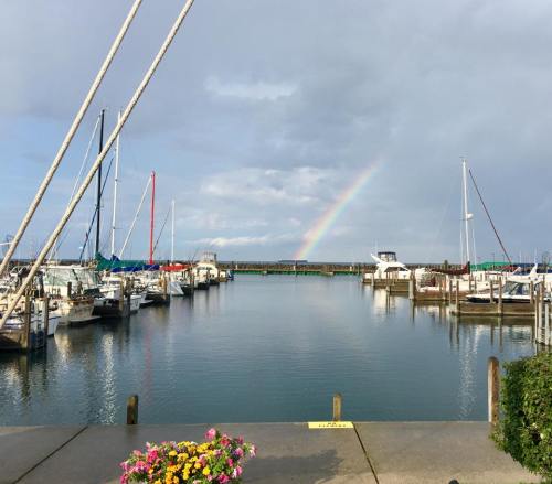 A serene marina with sailboats, a rainbow in the sky, and colorful flowers in the foreground.