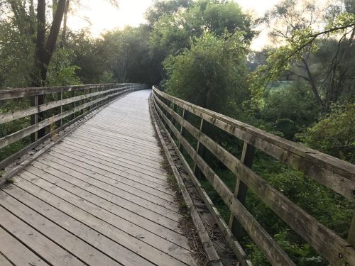 A wooden bridge curves through a lush green landscape, surrounded by trees and soft evening light.