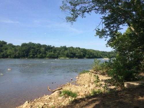 A serene river scene with a clear blue sky, lush green trees, and rocky shoreline along the water's edge.