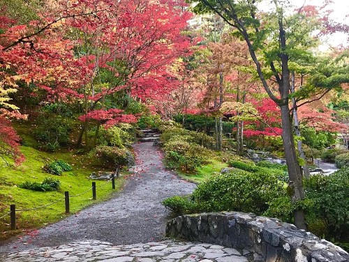 A serene garden path winding through vibrant autumn foliage and lush greenery.