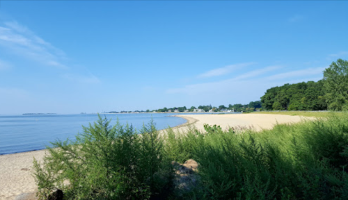A serene beach scene with a sandy shore, calm water, and green foliage under a clear blue sky.