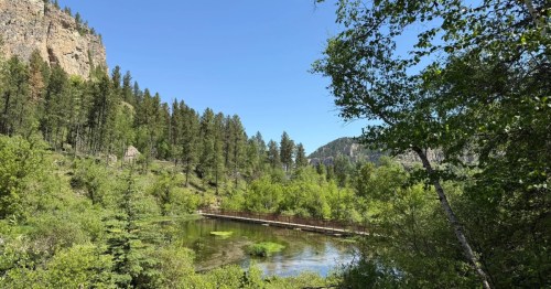view of a foot bridge ver water through spearfish canyon in south dakota