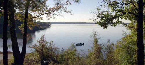 A serene lake view surrounded by trees, with a small boat on the water under a clear sky.