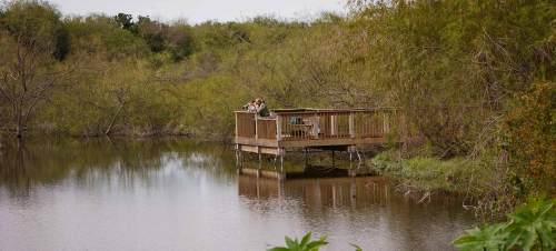 A wooden deck overlooks a calm pond surrounded by lush greenery and trees. Two people are enjoying the view.