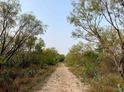 A sandy path winds through lush greenery and trees under a clear sky.