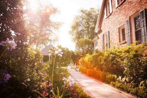 A sunlit pathway lined with flowers leads to a charming brick house surrounded by lush greenery.