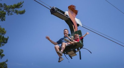 A man and a child joyfully ride a zip line, with an eagle design on the seat, against a clear blue sky.