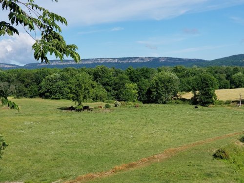 A lush green field with trees and distant mountains under a clear blue sky.