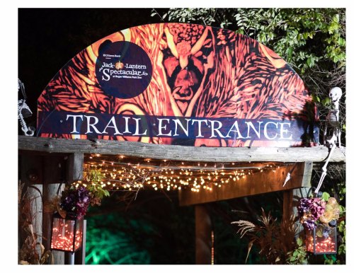 Sign for "Trail Entrance" at the Jack-o'-Lantern Spectacular, adorned with lights and autumn decorations.