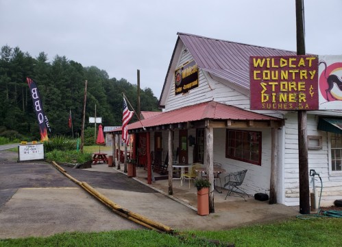 A rustic country store and diner with a sign reading "Wildcat Country Store & Diner," surrounded by greenery.