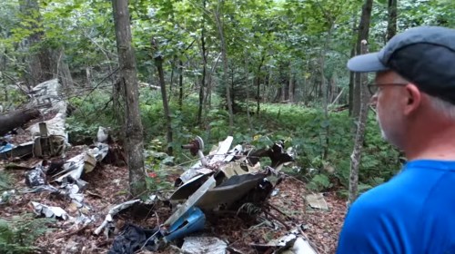 A person stands near the wreckage of an aircraft in a dense forest, surrounded by trees and foliage.