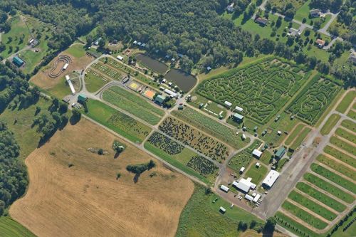 Aerial view of a farm with fields, a pond, a maze, and various buildings surrounded by trees.