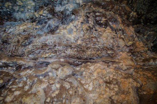 Close-up of textured rock surface with various mineral formations and colors, showcasing natural geological patterns.