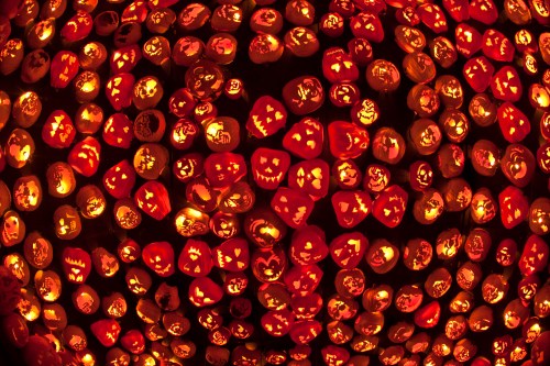 A vibrant display of carved pumpkins glowing with various spooky faces, creating a festive Halloween atmosphere.