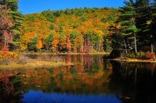 A serene pond surrounded by vibrant autumn foliage and clear blue skies, reflecting the colorful trees.