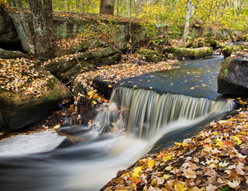 A serene waterfall flows over rocks, surrounded by autumn leaves and vibrant trees in a peaceful forest setting.