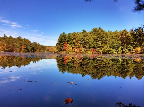 A serene lake reflecting colorful autumn trees under a clear blue sky.