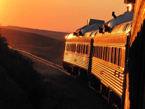 Two vintage trains glisten in the golden light of sunset, traveling along a winding track through a scenic landscape.