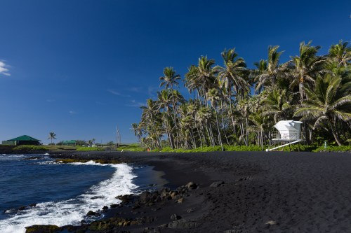 A serene black sand beach lined with palm trees under a clear blue sky, with gentle waves lapping at the shore.