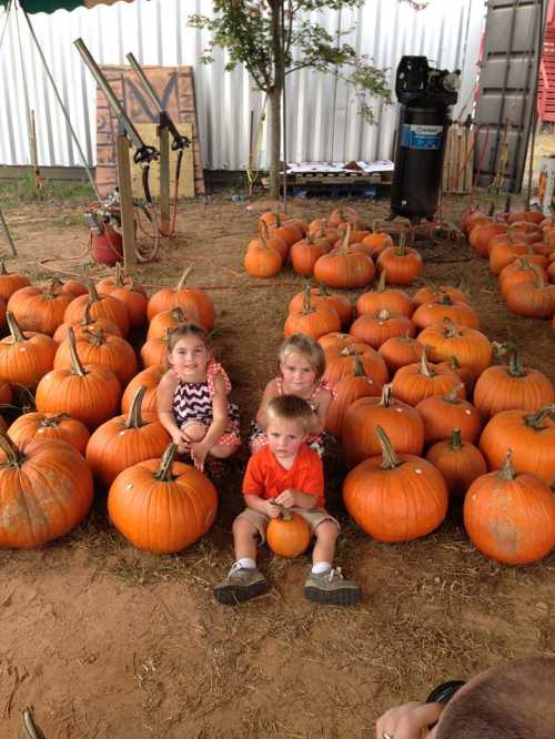 Three children sit among a patch of bright orange pumpkins, smiling and enjoying a fall day.