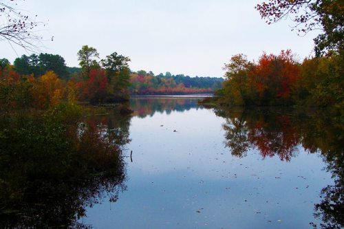 A serene lake surrounded by trees displaying vibrant autumn colors, reflecting on the calm water.