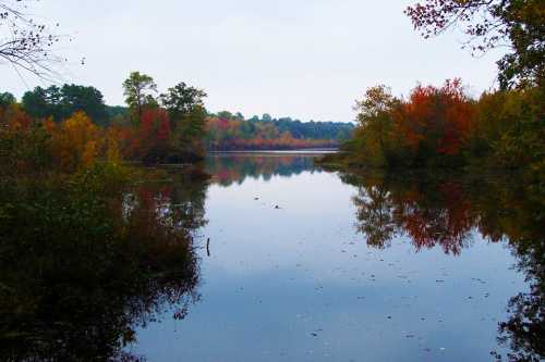 A serene lake surrounded by trees displaying vibrant autumn colors, reflecting on the calm water.