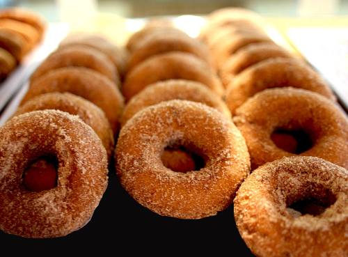 A close-up of freshly baked, cinnamon-sugar coated donuts arranged in a row.
