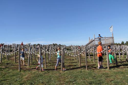 Children play in a vineyard, exploring rows of grapevines under a clear blue sky, with a wooden platform in the background.