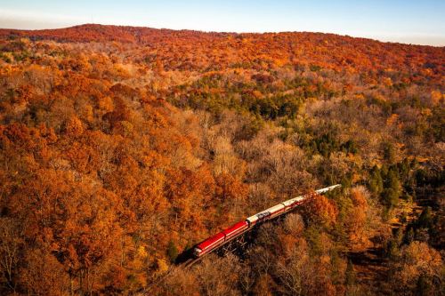 A train winds through a vibrant autumn forest, showcasing colorful orange and yellow foliage under a clear sky.