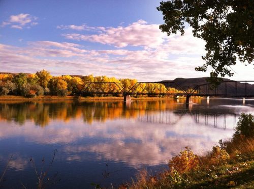 A tranquil river scene with autumn foliage reflecting on the water and a bridge in the background under a cloudy sky.